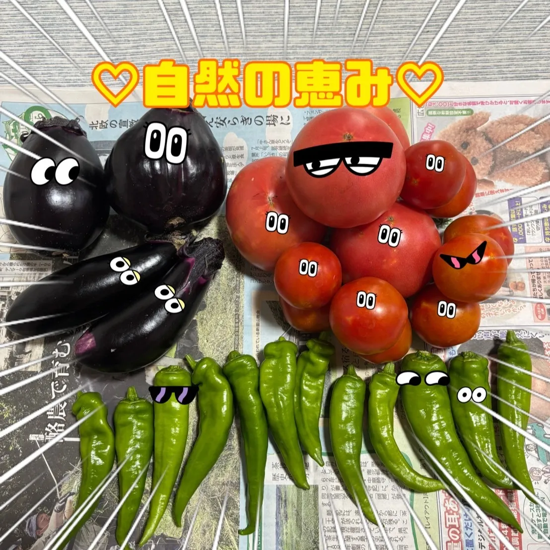お友達から新鮮な家庭菜園の野菜をたっぷりいただきました✨。